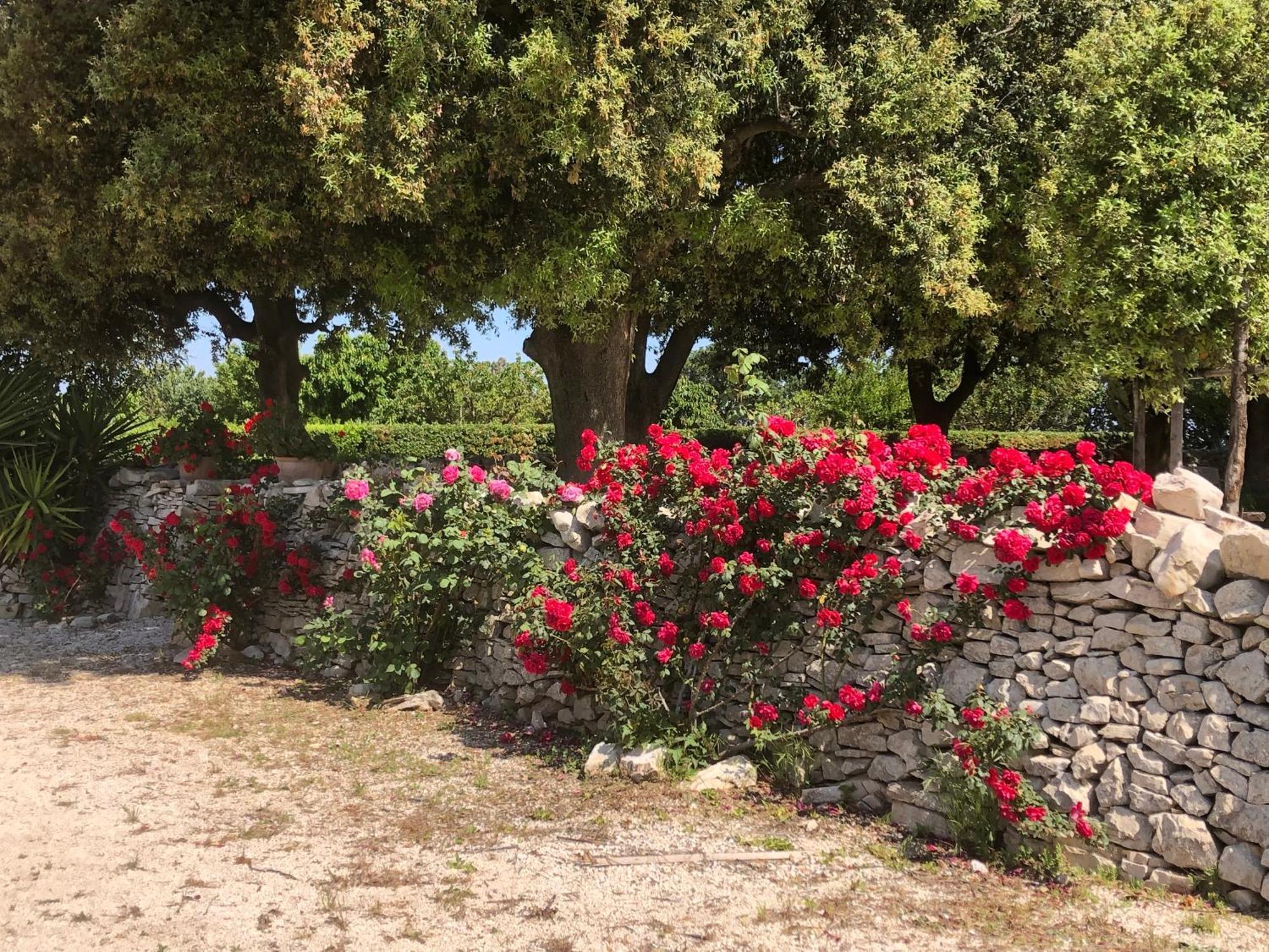 Ai Pilieri Di Bagnoli Villa Castel Del Monte  Dış mekan fotoğraf