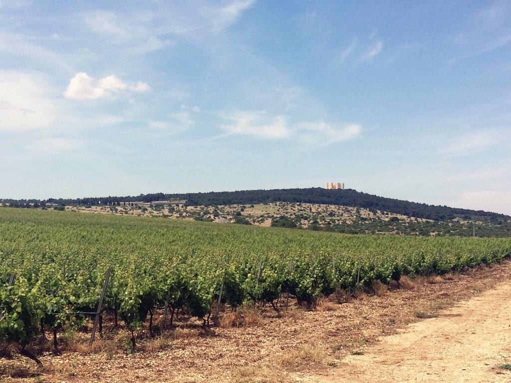 Ai Pilieri Di Bagnoli Villa Castel Del Monte  Dış mekan fotoğraf